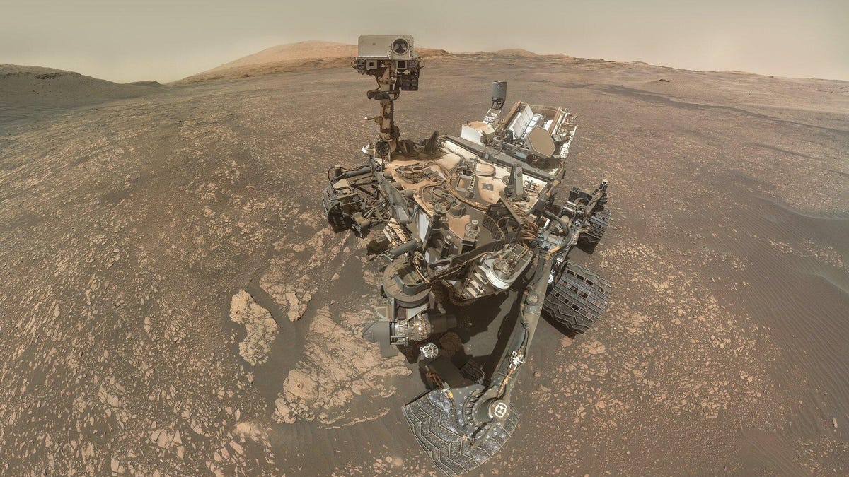 curiosityselfiemay2019