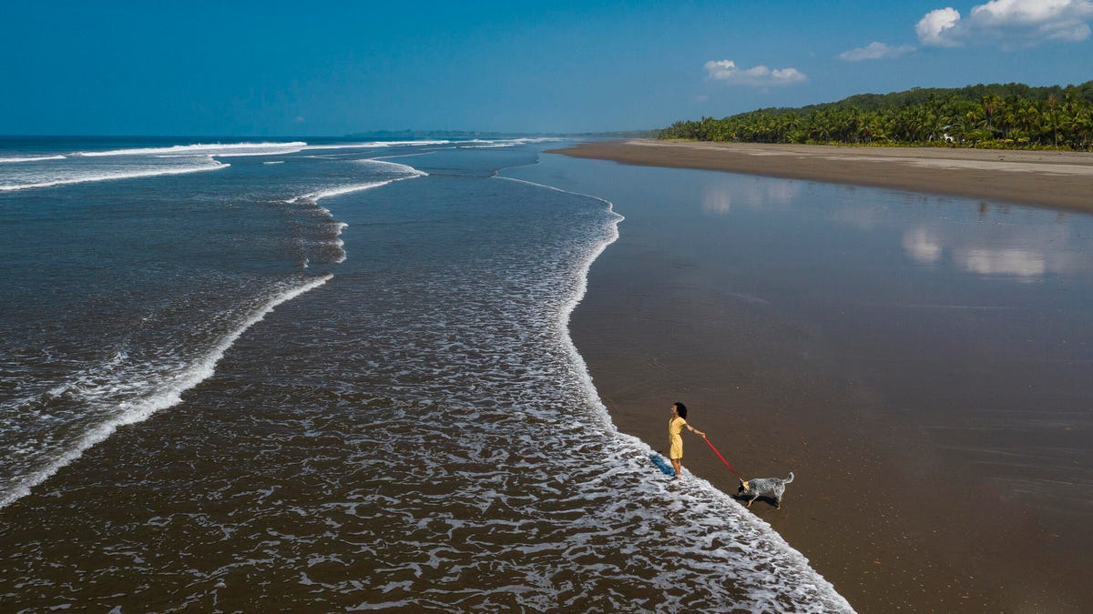 Elderly couple holding hands, partial view.
