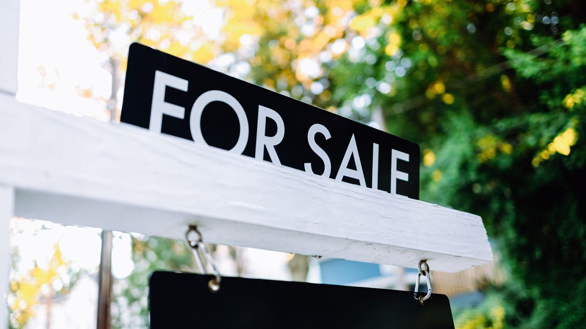 An origami house made of a 20 dollar bill