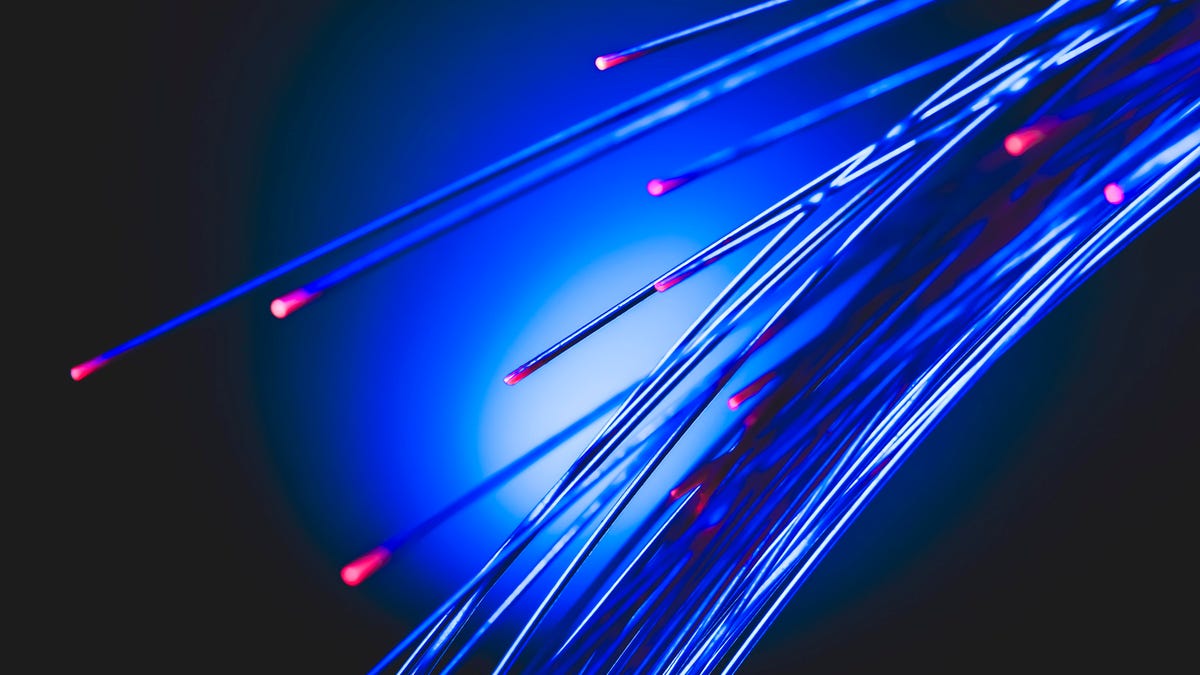 a bundle of blue fiber cables with pink light at the tips
