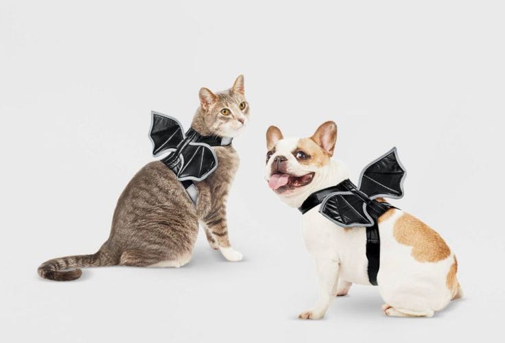 dog and cat wearing bat wings