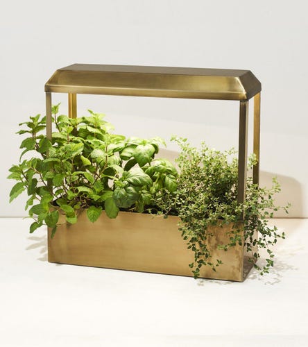 smart-growhouse