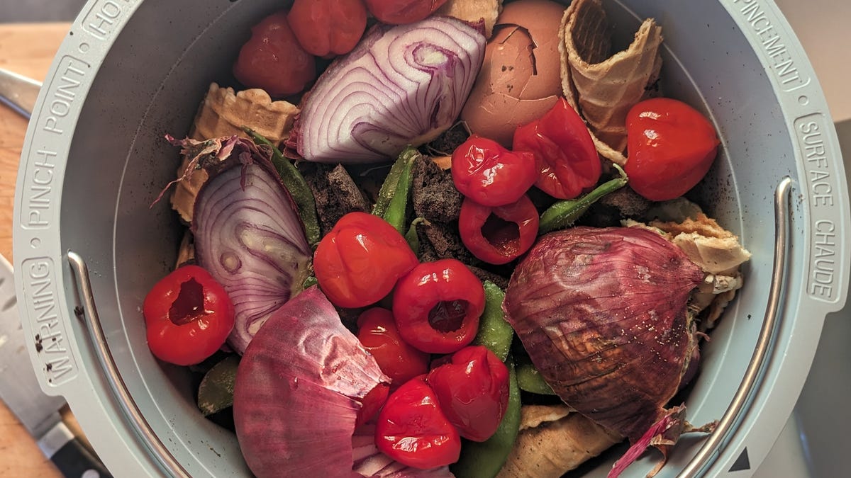 closeup of food waste in lomi bin