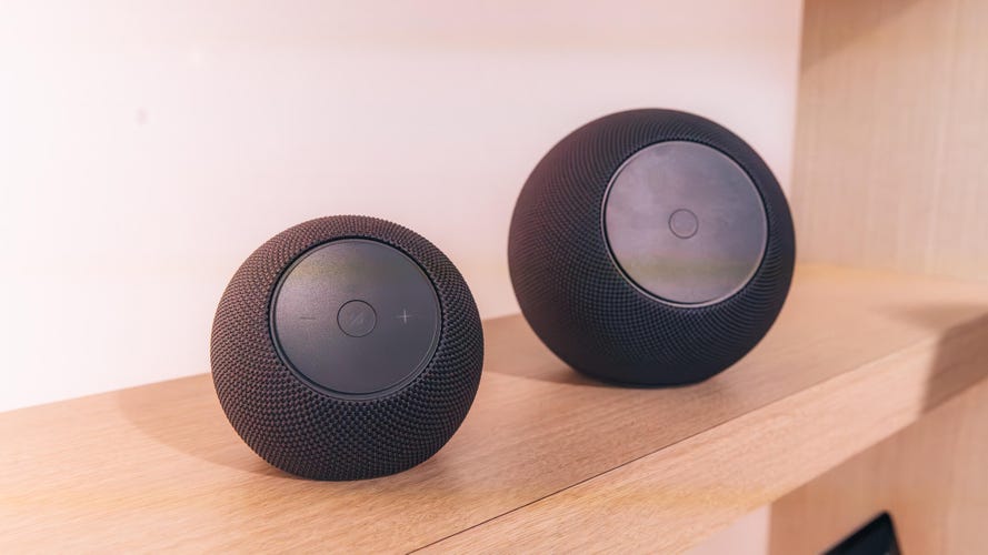 Echo Dot Max and Studio
