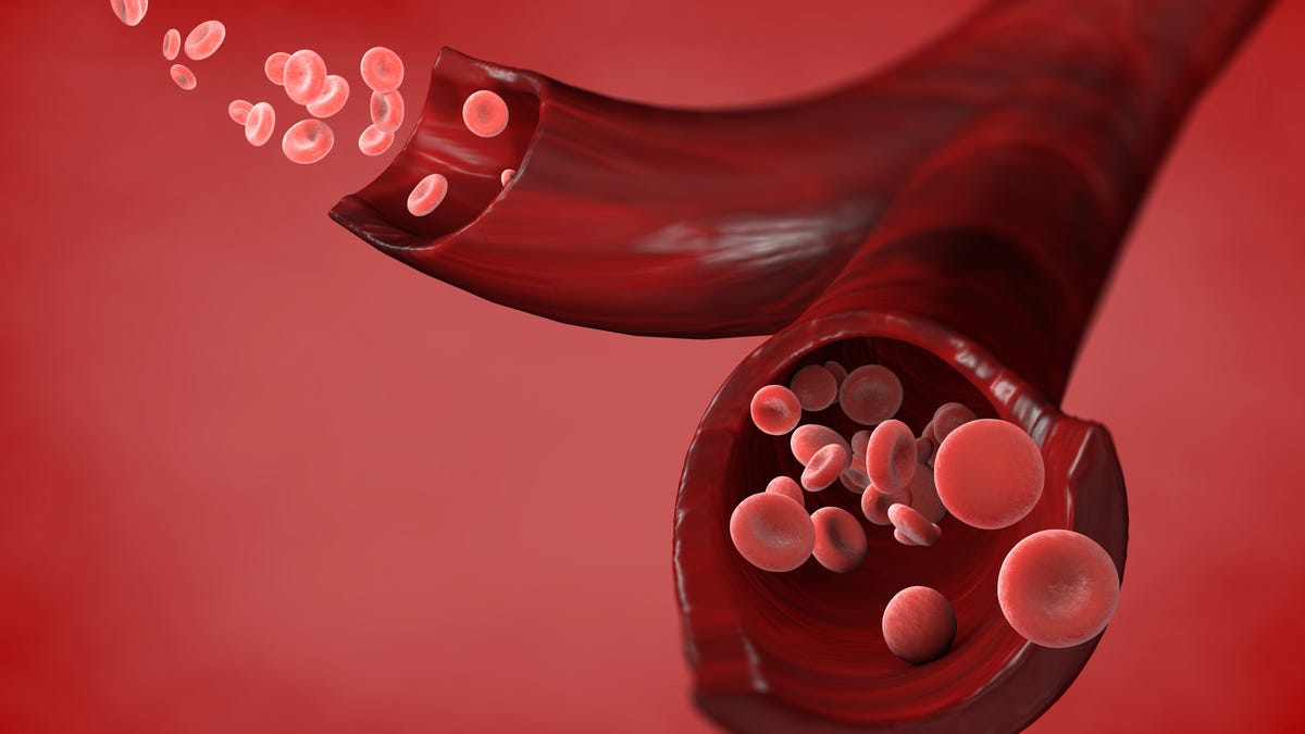 Red blood cells and blood flow through a vein, small spherical cells that contain hemoglobin