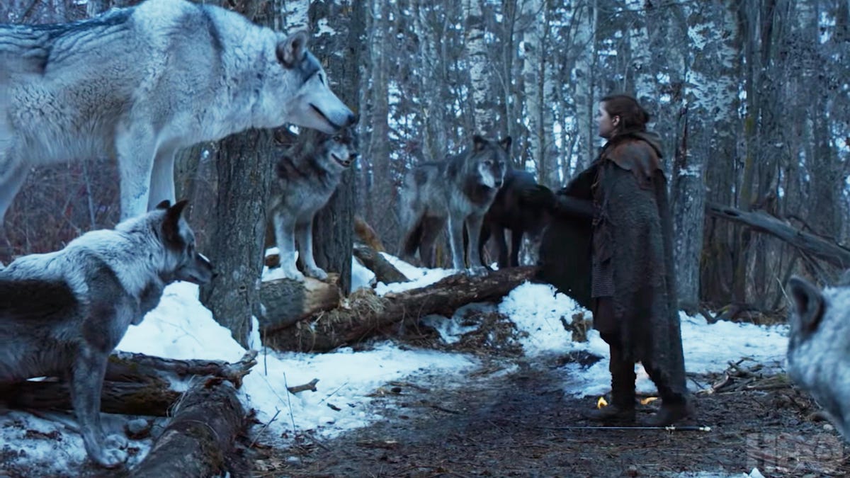 arya-nymeria-theory