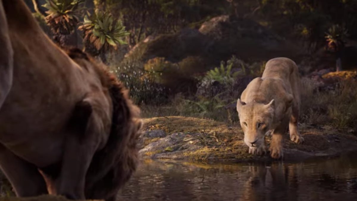 screen-shot-2019-06-04-at-10-48-41