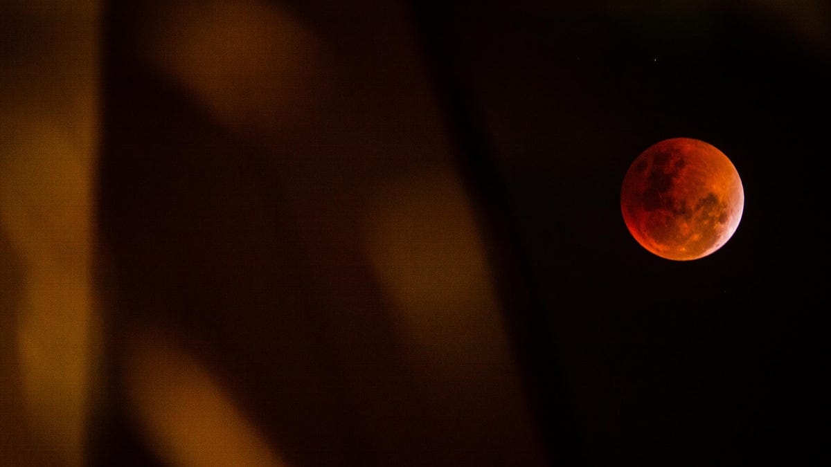 39973118752-c4972fe353-k