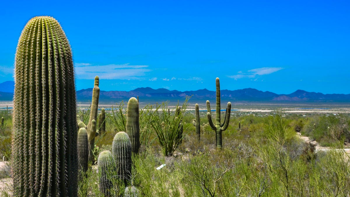 National Park conservation technology