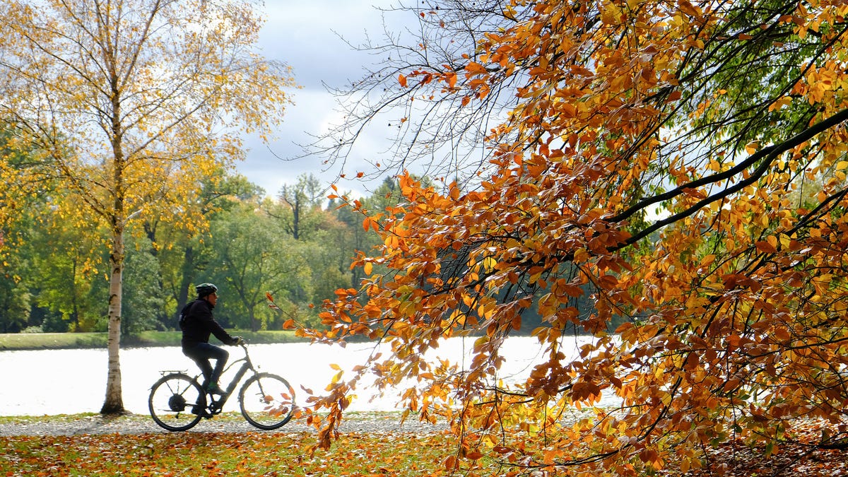 gettyimages-1176170465