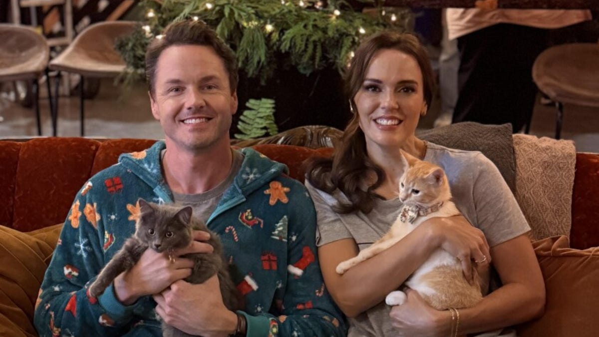 A man and woman dressed in pajamas and sitting on a couch hold cats.