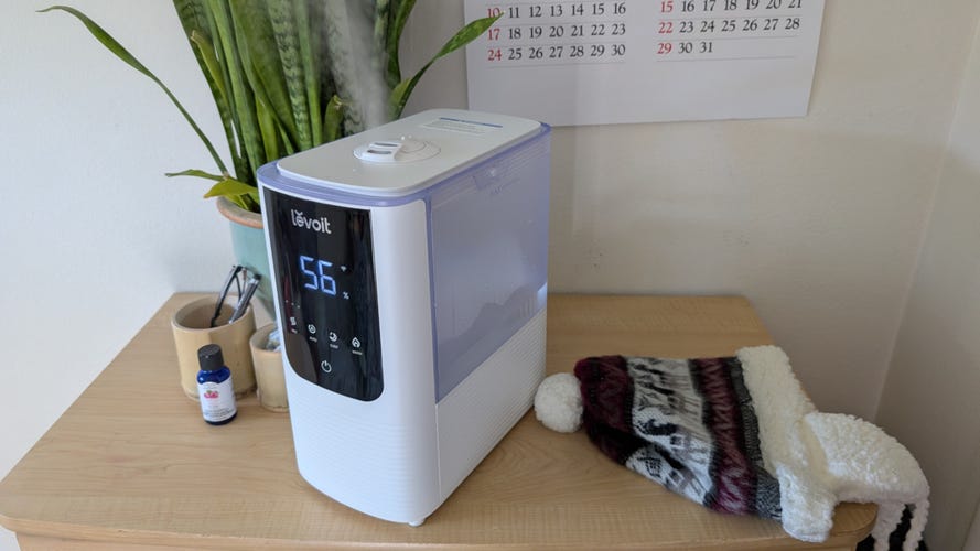 white and black Levoit humidifier on a brown table next to a winter hat and a green plant