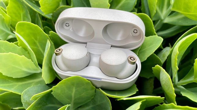 Sony WF 1000XM4 earbuds in an open case resting in leaves.