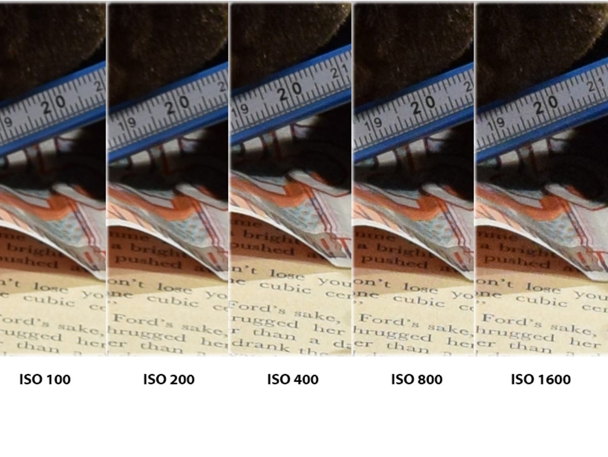 Nikon D3300 Low ISO JPEG