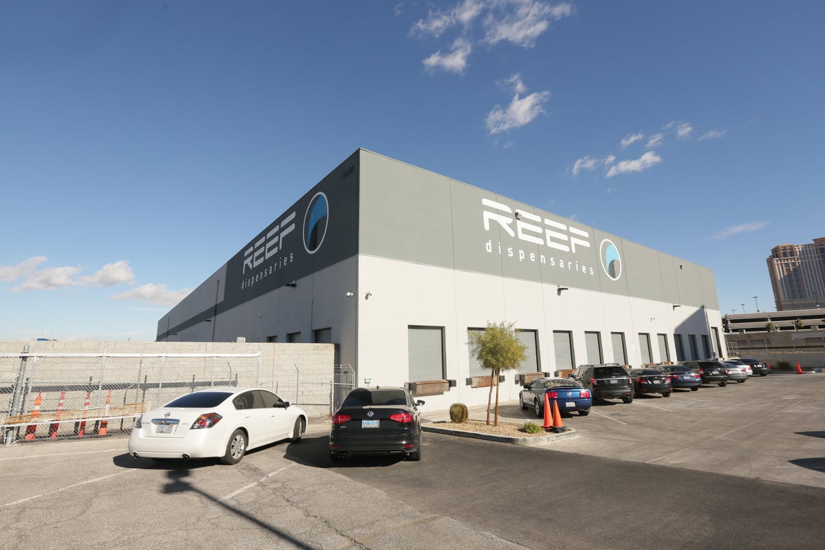 An inside look at a "farm to table" style Marijuana dispensary in Las Vegas