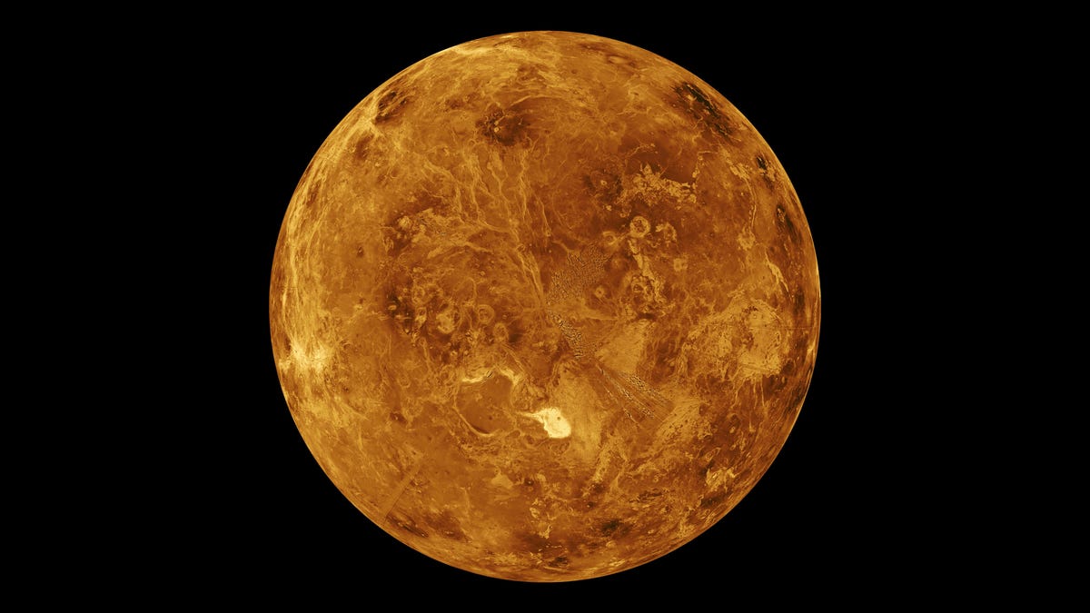 venus1
