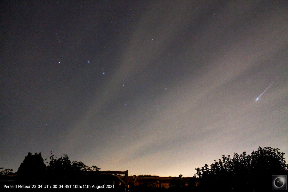 51372359293-81f4cc3786-k