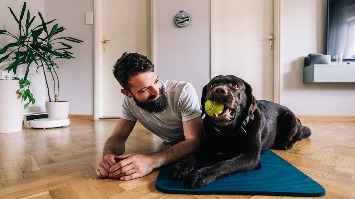A man lays on the floor with a black dog holding a tennis ball in its mouth.