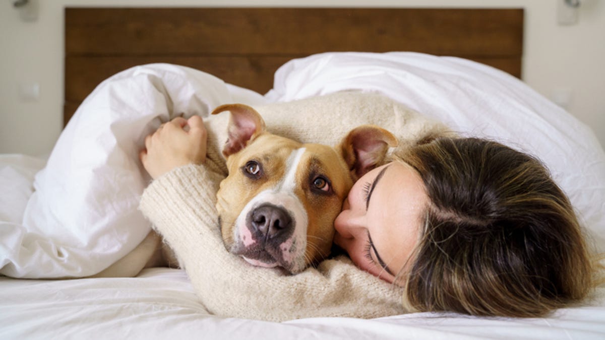 Woman snuggling dog in bed