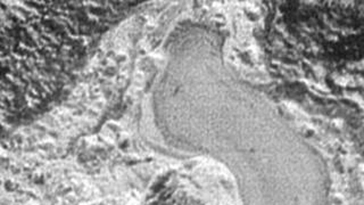 Pluto's possible pond
