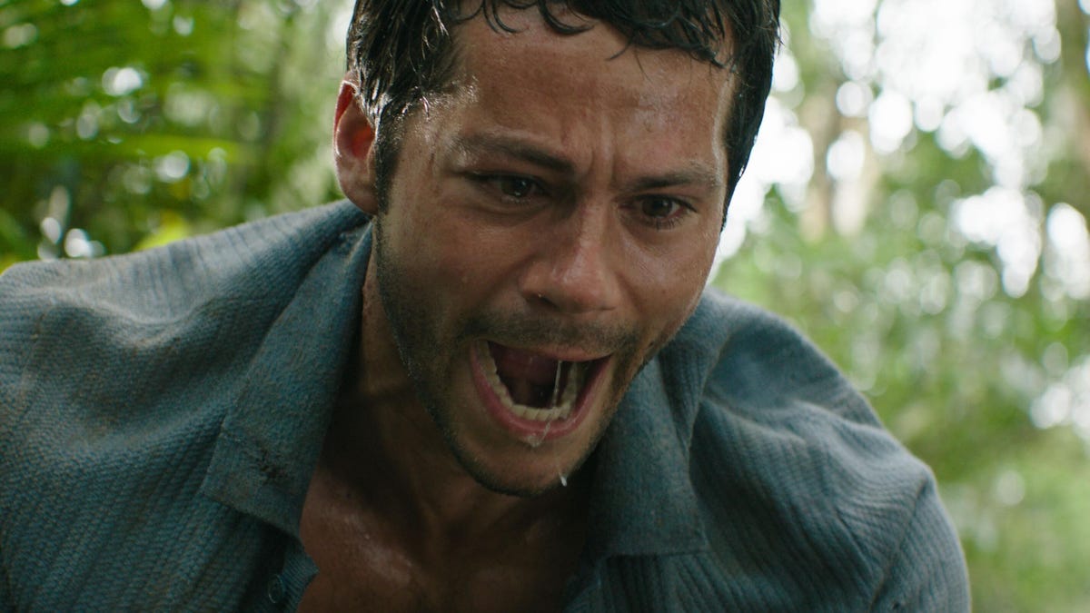 man screams while looking downward