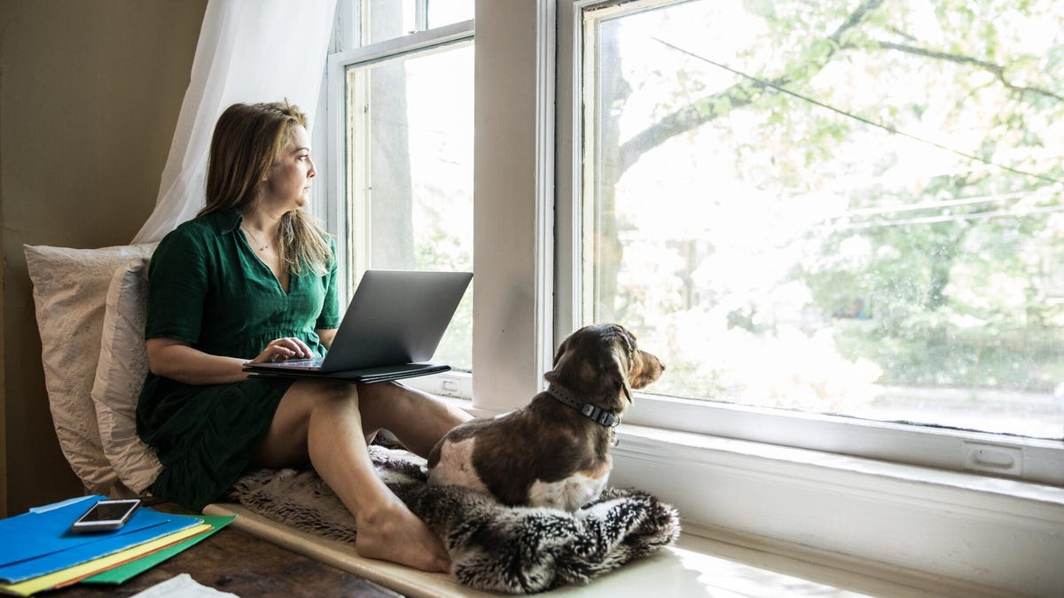 A woman sits with a laptop, looking out a large window with her dog.