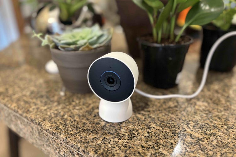 A Nest indoor cam on a counter next to plants.