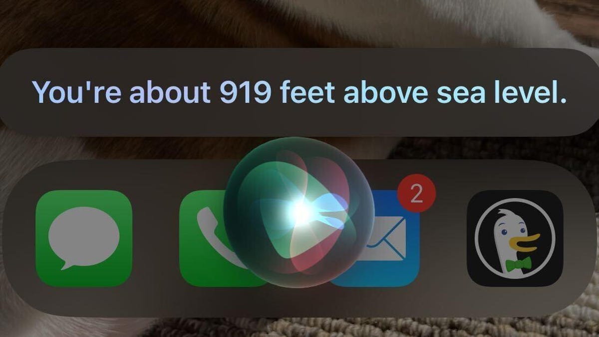 Siri responding that a person's altitude is 919 feet above sea level