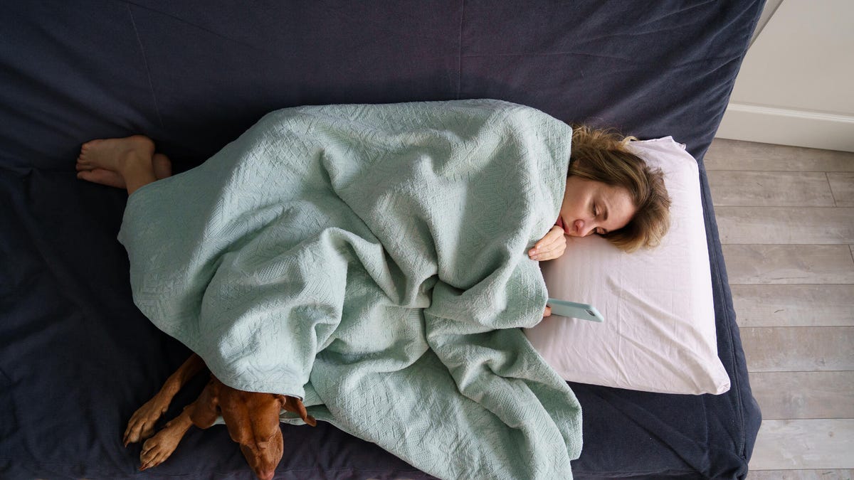 A person with long blonde-brown hair lying on a dark blue couch with a brown dog under a light blue blanket while looking at their phone.
