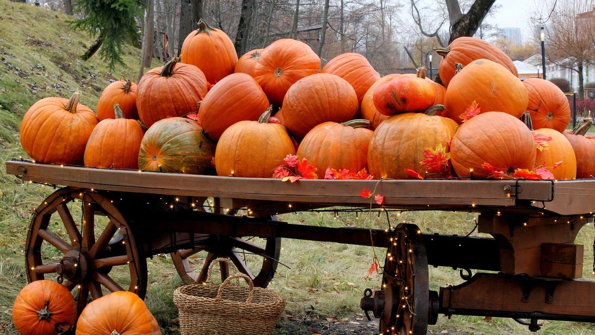 A photo of many pumpkins on top of a wooden wagon lit up with fairy lights (gettyimages-2180461149)