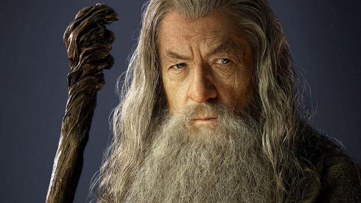 lotr-fellowship-gandalf-mckellen.jpg