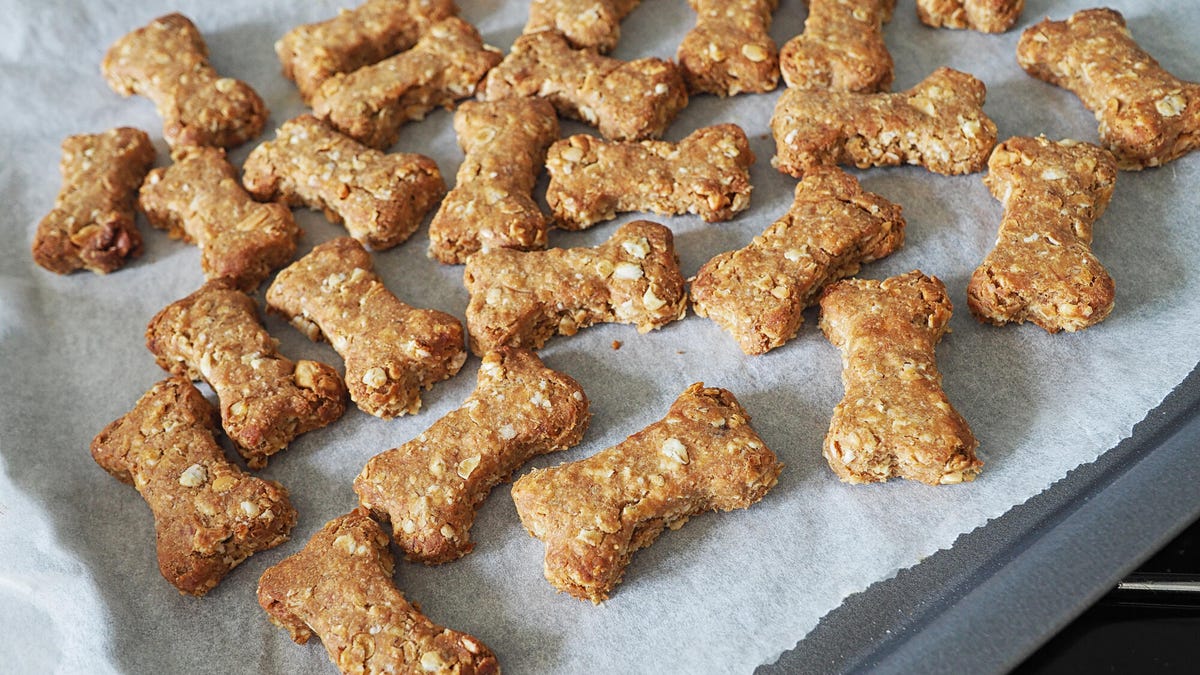 Bone-shaped, homemade peanut butter and banana dog biscuits on a baking tray, fresh from the oven.