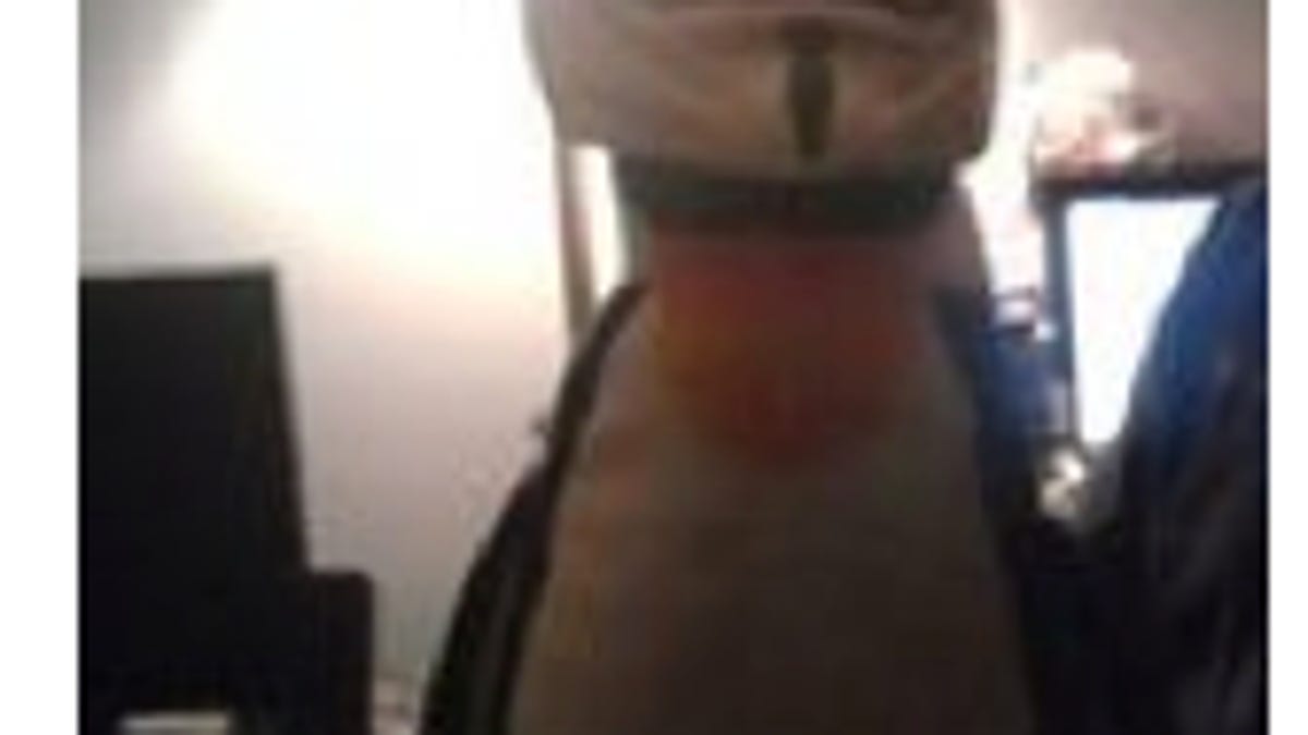 The Twitter profile picture of the hacker who says he compromised a Texas water plant and others to show how easy it is.