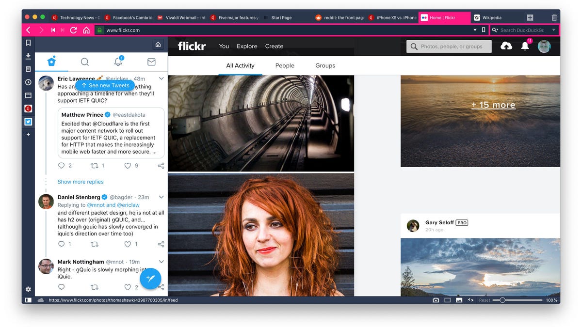 Vivaldi 2.0 themes can mimic the color scheme of the website you're visiting -- in this case Flickr -- and web panels on the left can give you a quick look at websites like Google Translate, Twitter, or whatever else you like.