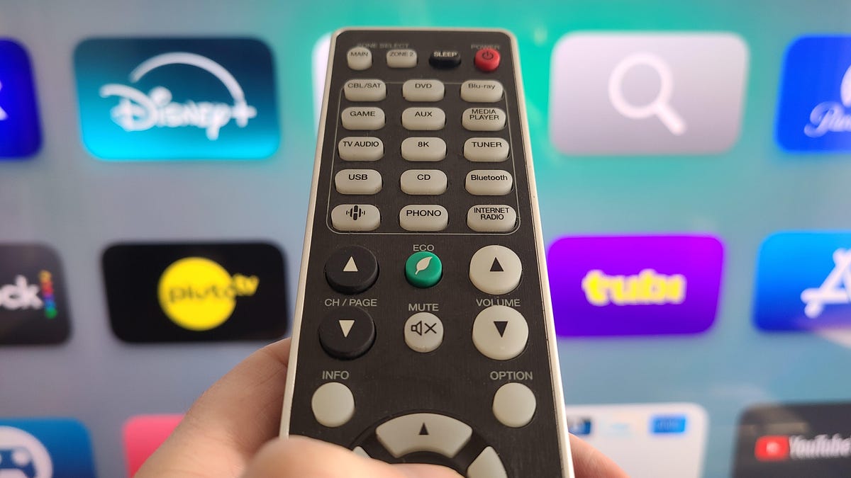 A hand holds a TV remote in front of a menu of streaming service options