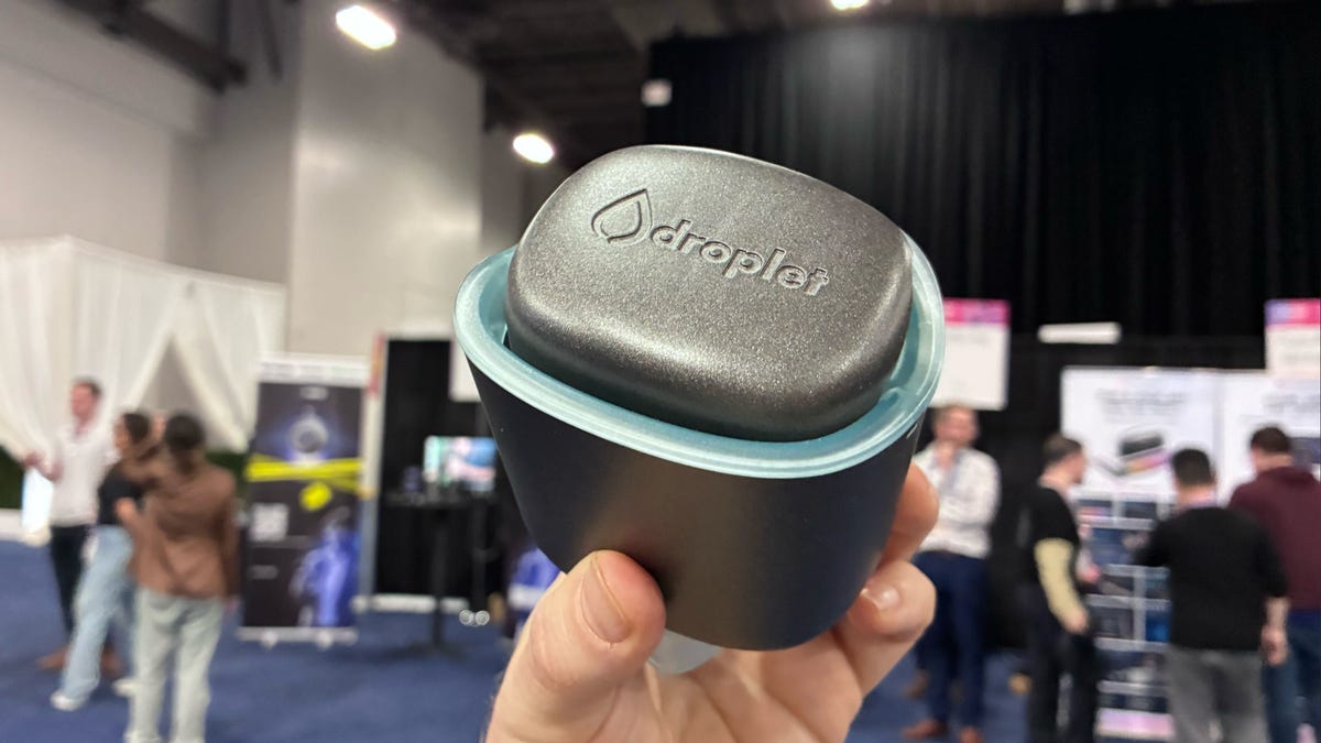 A water monitor in someone's hand.