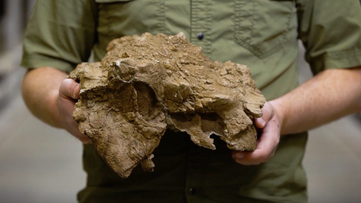 screen-shot-2018-07-23-at-9-50-47-am