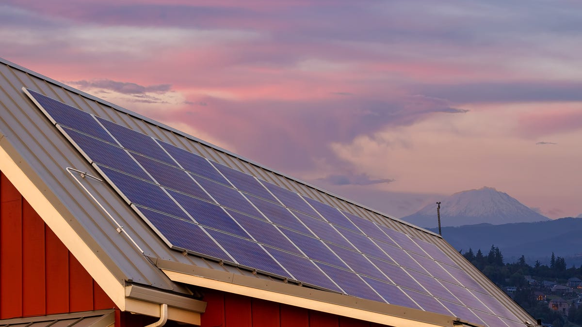 Solar panels with Mt. Saint Helens behind.