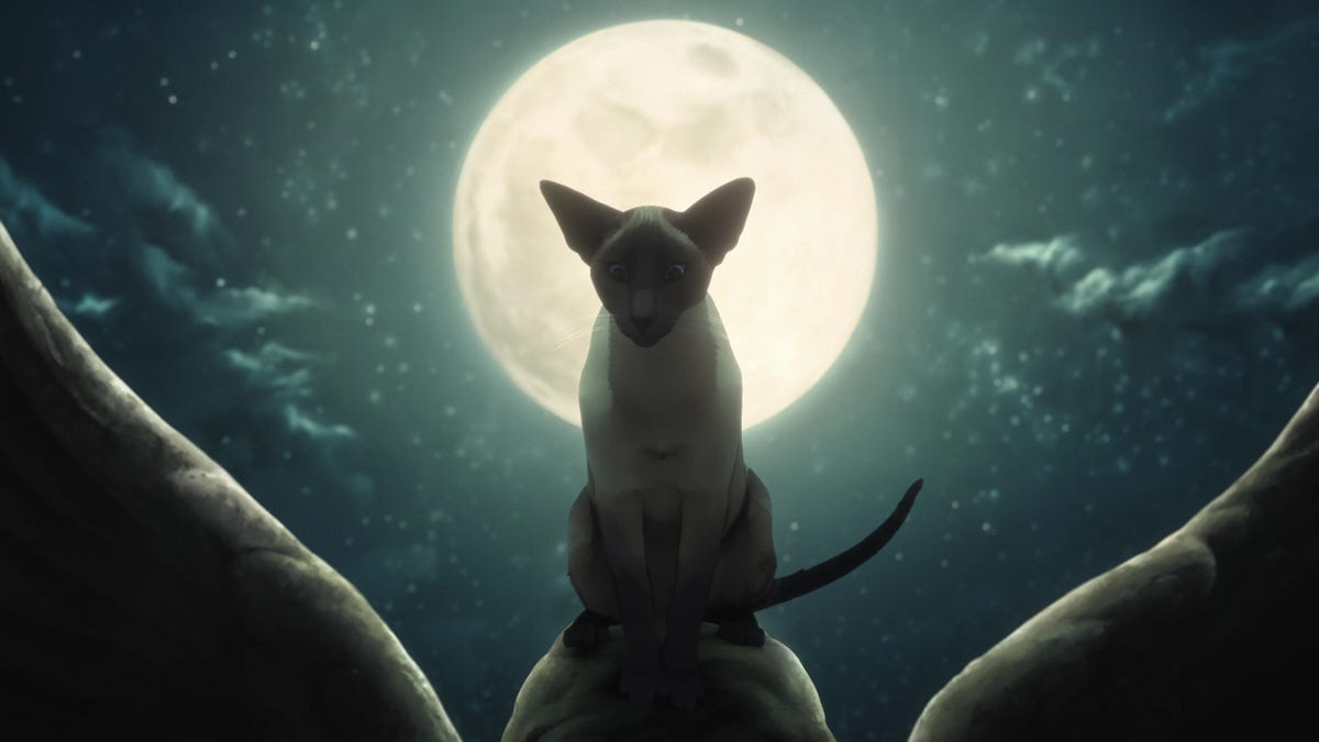 A cat ominously silhouetted by a full moon.