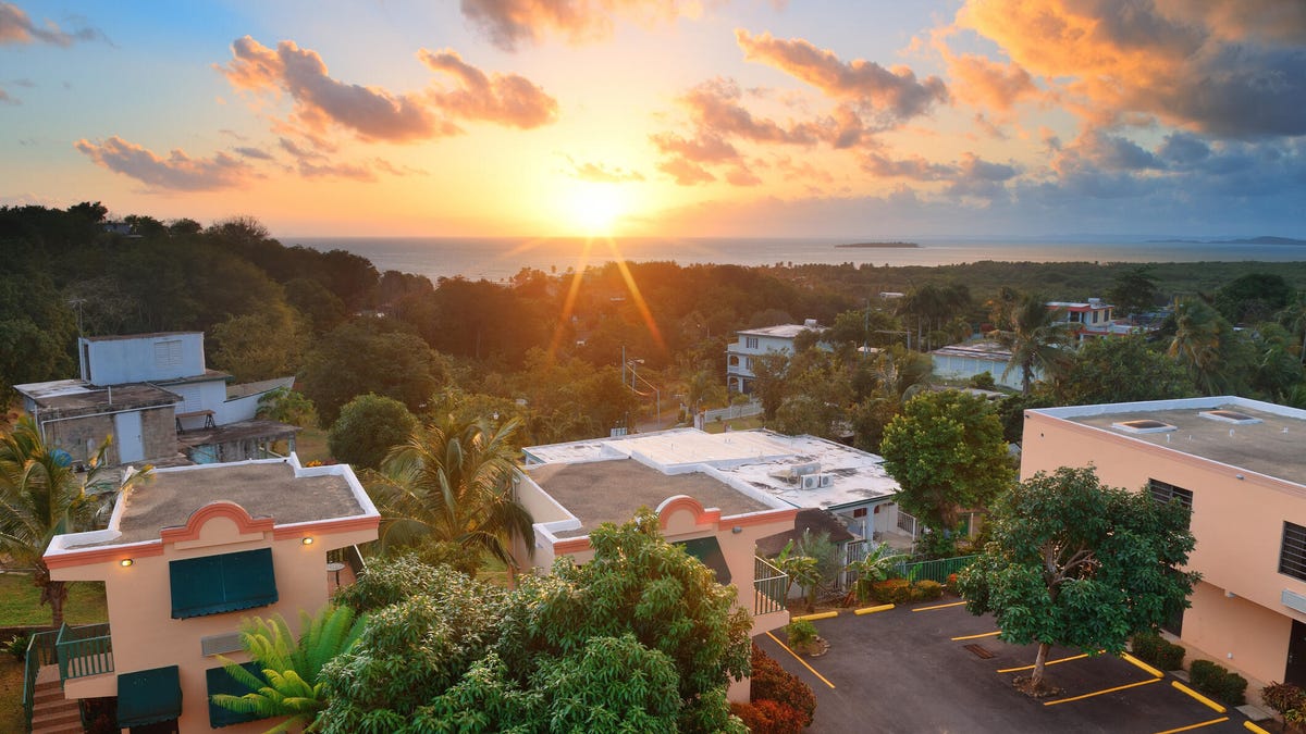 Buildings and trees with sunrise and the ocean in the background.