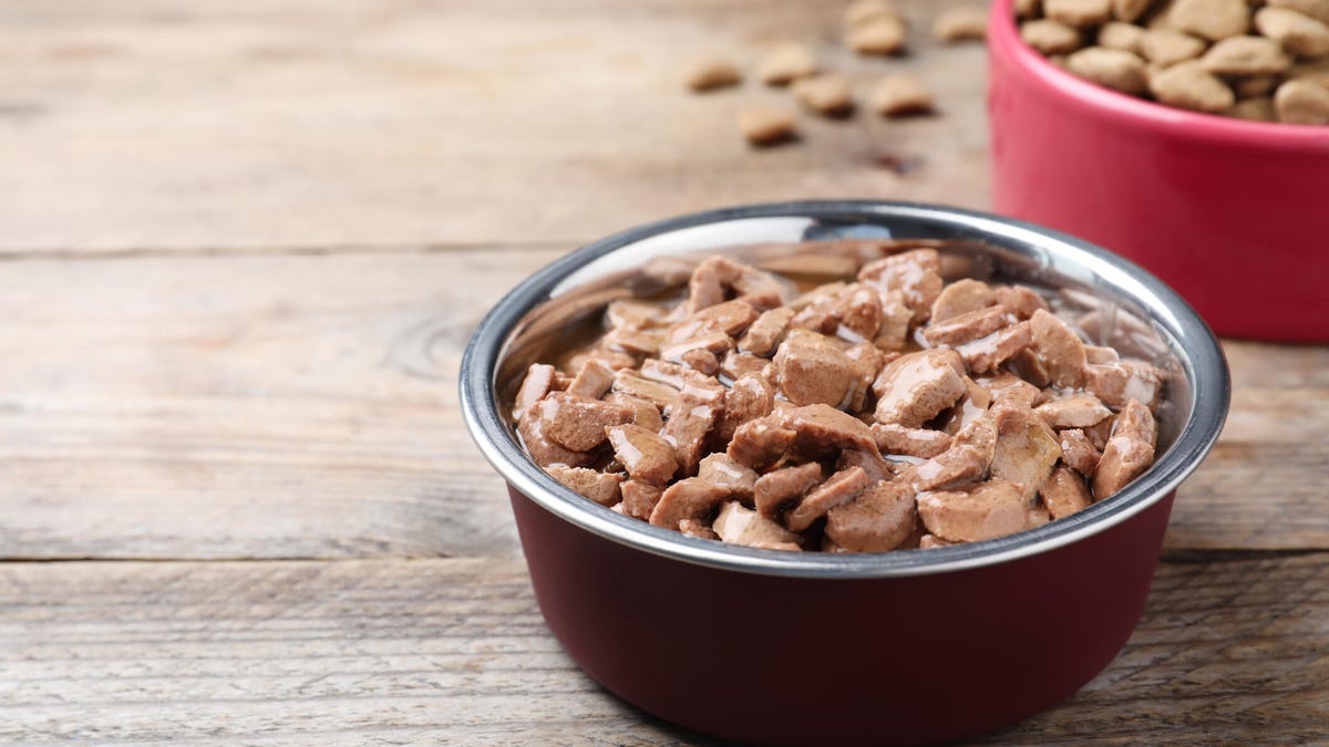 Wet pet food in feeding bowl on wooden table.