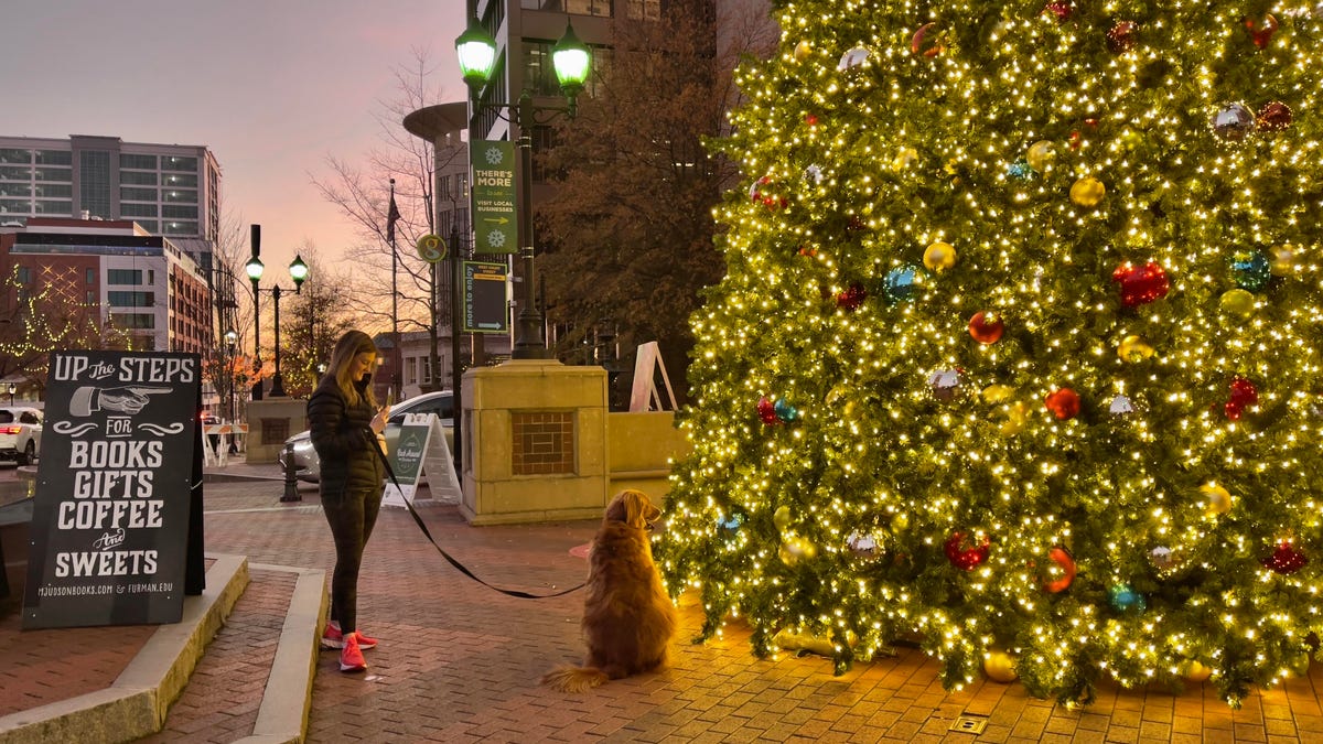 A person walks their dog next to a lit up Christmas tree on a city block.