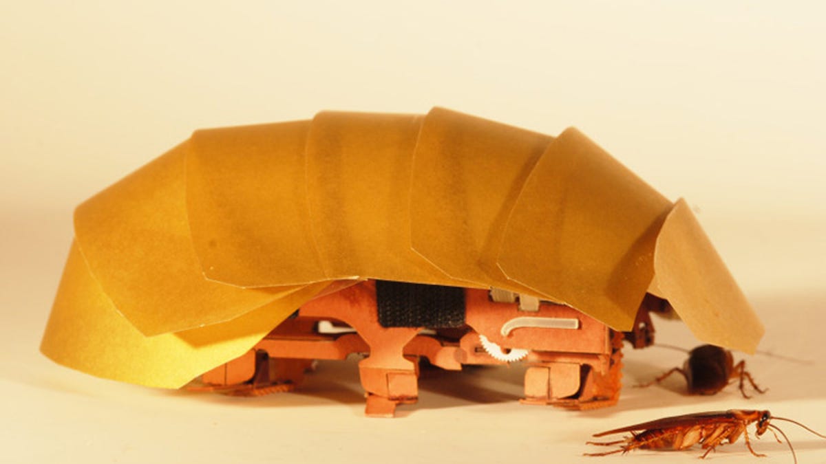 cockroachrobot.jpg