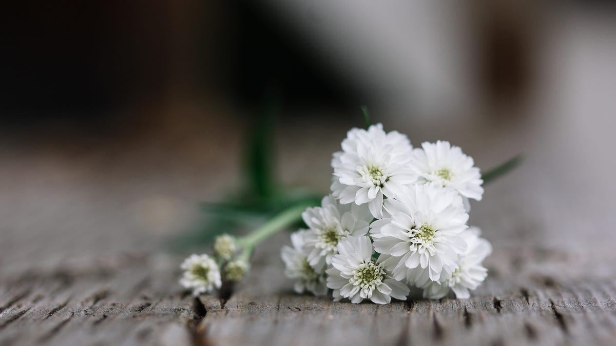 gettyimages-550594999