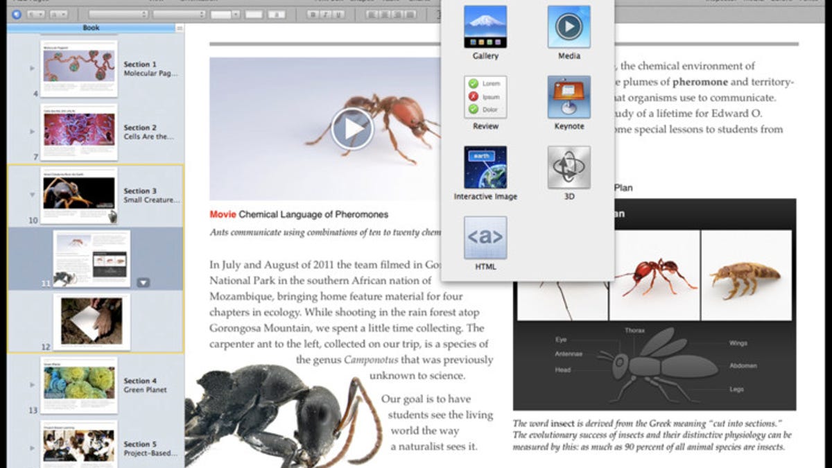 Apple's new iBooks Author software lets people create iBooks-compatible books from document files.
