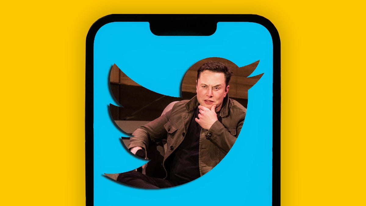 A phone shows a picture of Elon Musk inside the shape of the Twitter logo.