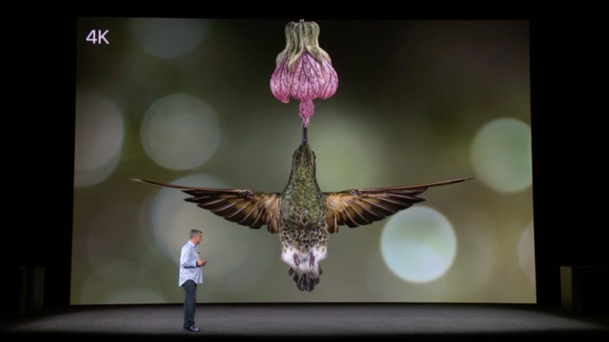 screen-shot-2017-09-12-at-10-43-41-am-1024