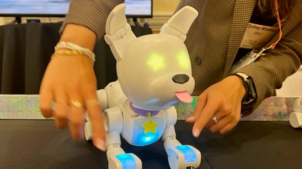 The Dog-E robot on display at CES.