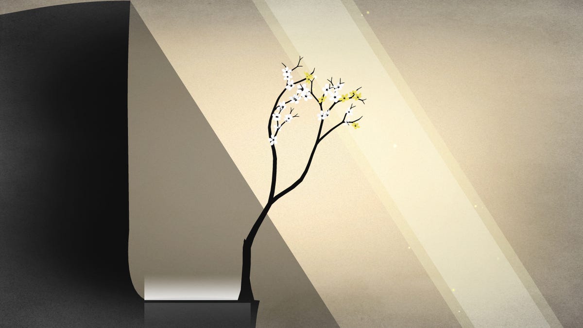 An image from Prune game. A digital bonsai tree growing and blossoming in a ray of sunlight.