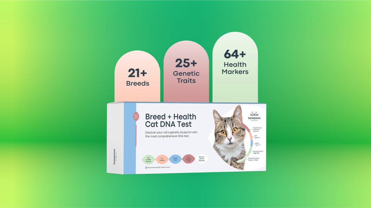 basepaws-cat-dna-test.png